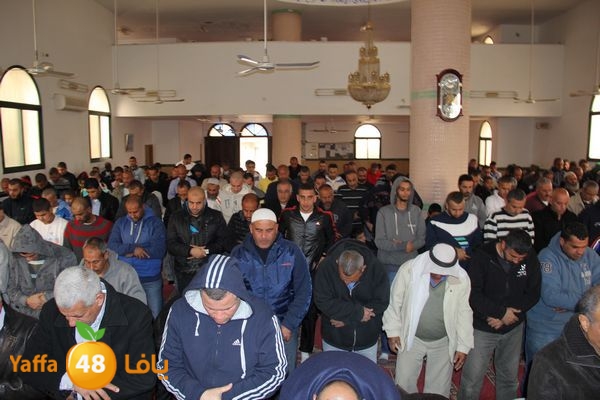 jarhoshuy msajed 0110 (18).JPG